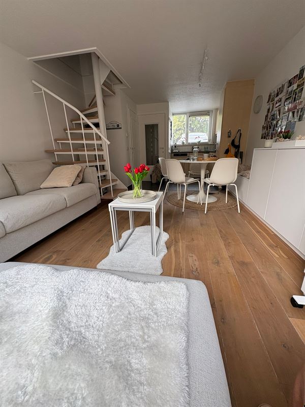 Image 15 : Jaarbasis à 8620 NIEUWPOORT (Belgique) - Prix 900 &euro;