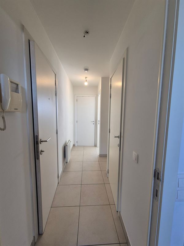 Foto 11 : Jaarbasis te 8660 DE PANNE (België) - Prijs &euro; 800