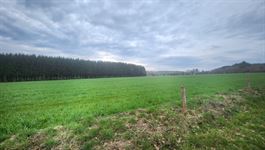Landbouwgrond te 6680 TILLET (België) - Prijs € 110.000