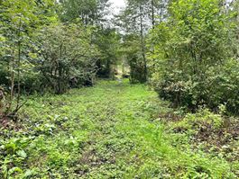 Groene zone te 6662 TAVIGNY (België) - Prijs € 35.000