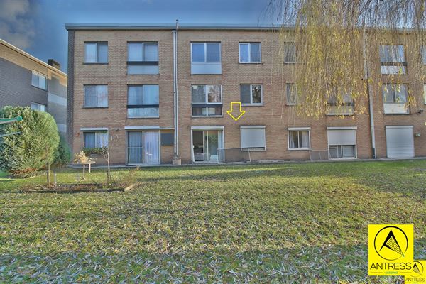 Appartement te 2500 LIER (België) - Prijs 
