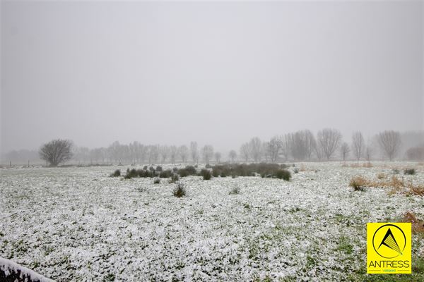 Grond te 2547 LINT (België) - Prijs 