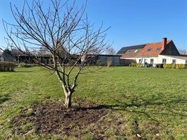 Maison à 7730 EVREGNIES (Belgique) - Prix Maison à 7730 EVREGNIES (Belgique) - Prix