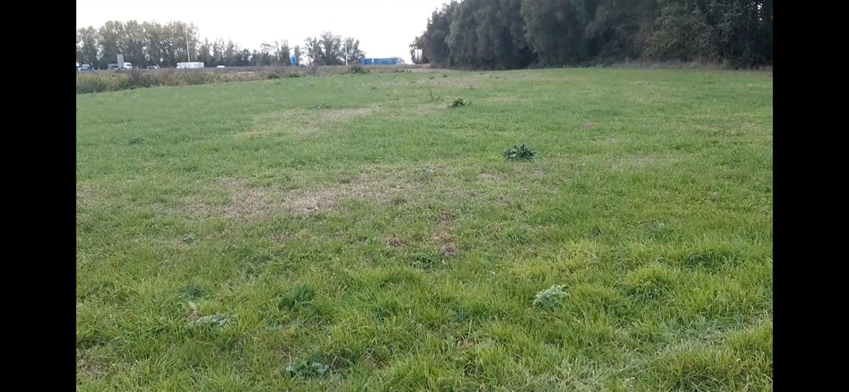 Image 3 : Terrain à 7730 EVREGNIES (Belgique) - Prix 22.500 €