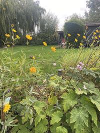 Image 24 : Villa à 7730 ESTAIMPUIS (Belgique) - Prix 429.000 €