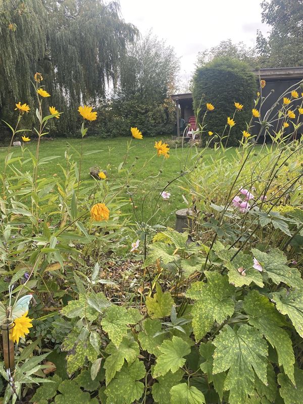 Image 24 : Villa à 7730 ESTAIMPUIS (Belgique) - Prix 429.000 €