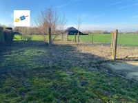 Image 5 : Maison à 7520 TEMPLEUVE (Belgique) - Prix 320.000 &euro;