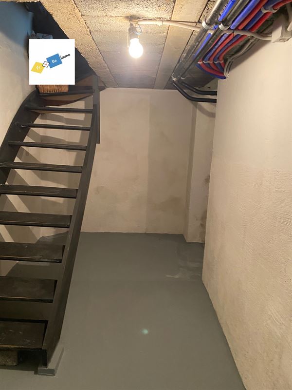 Image 18 : Maison à 7730 SAINT-LÉGER (Belgique) - Prix 1.000 &euro;