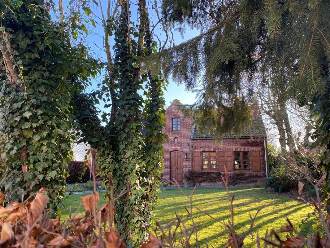 Image 21 : Maison à 7730 ESTAIMPUIS (Belgique) - Prix 360.000 &euro;