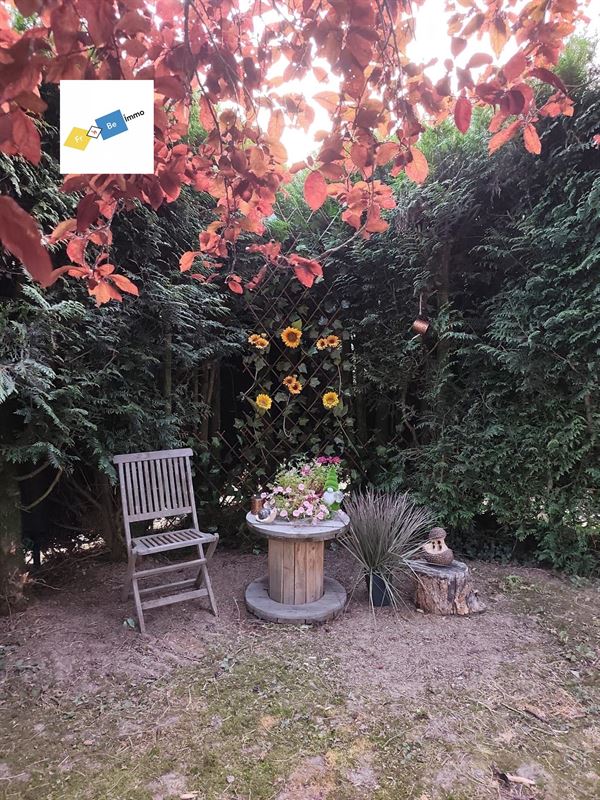 Image 50 : Villa à 7711 DOTTIGNIES (Belgique) - Prix 685.000 &euro;