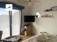 Image 7 : Villa à 7711 DOTTIGNIES (Belgique) - Prix 685.000 € Image 7 : Villa à 7711 DOTTIGNIES (Belgique) - Prix 685.000 €