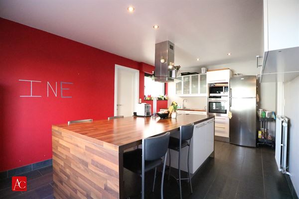 Gerenoveerde woning met oprit, garage en tuin, rustig gelegen te Kruibeke
