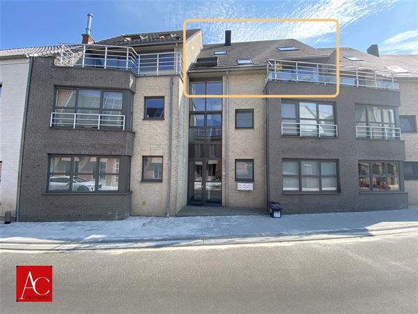 Duplex