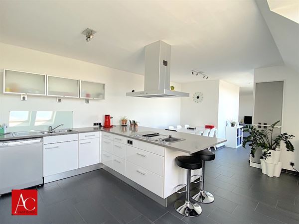 Duplex