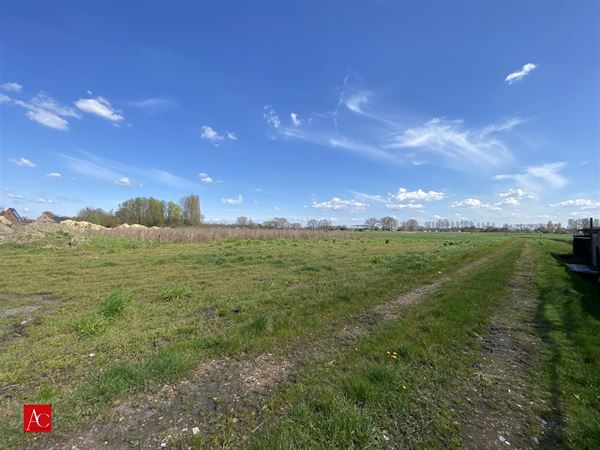 Bouwgrond