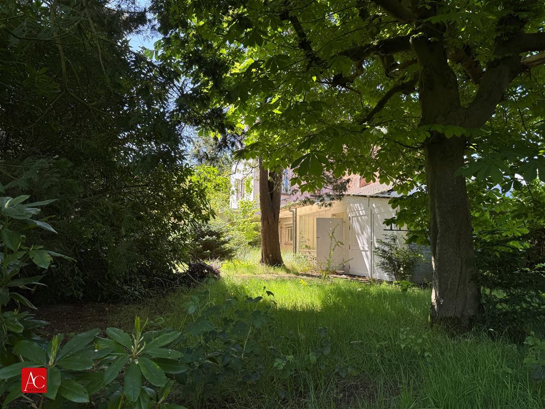 Renovatiewoning op ruim perceel of projectgrond