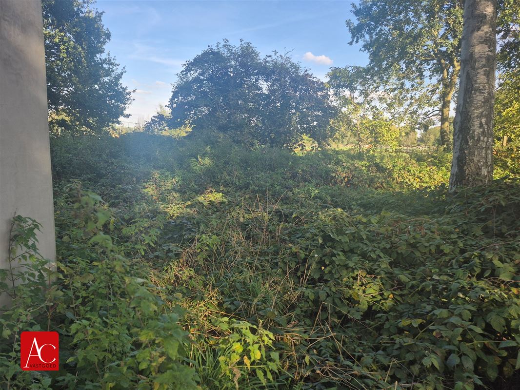 Recreatiegrond te Meerdonk