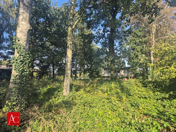 Recreatiegrond te Meerdonk