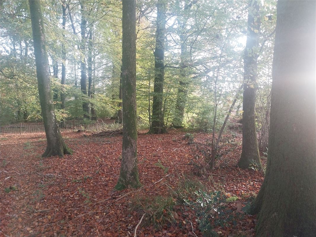 Foto 5 : Bouwgrond te 5660 CUL-DES-SARTS (België) - Prijs € 98.000