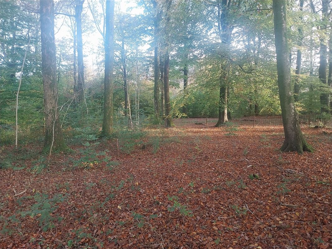 Foto 4 : Bouwgrond te 5660 CUL-DES-SARTS (België) - Prijs € 98.000