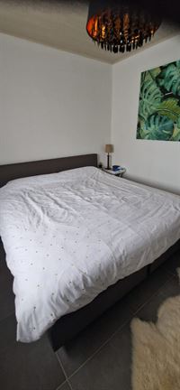 Foto 10 : Huis te 8531 HULSTE (België) - Prijs € 950