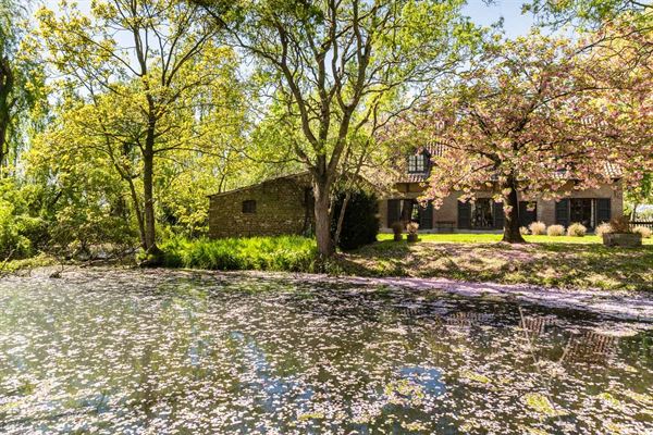 Te Koop - Charmante hoeve met bijgebouw en vijver op fantastische locatie
In het landelijke Vosselare bevindt zich deze schitterende, rustig geleg...