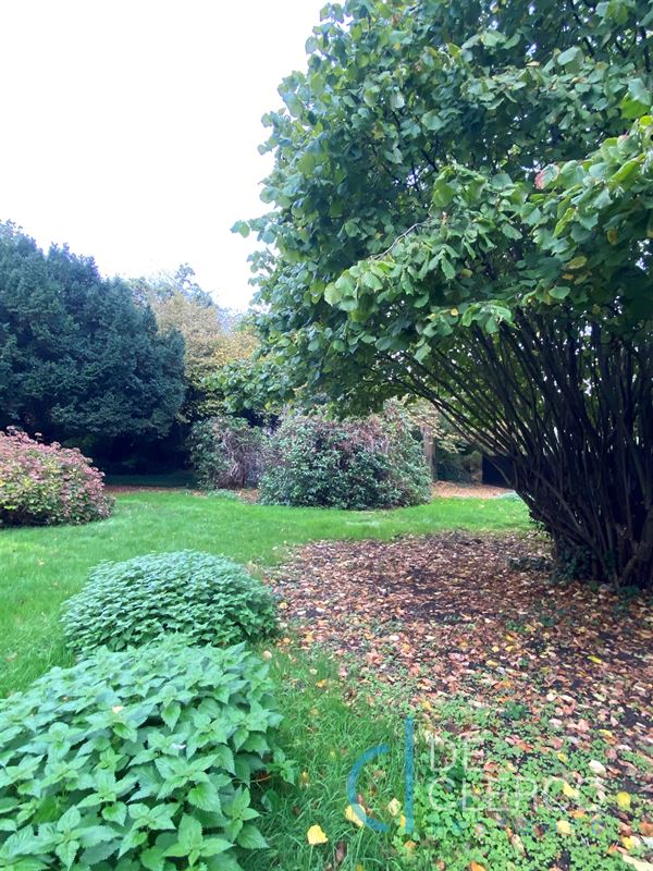 Foto 16 : Huis te 9080 Lochristi (België) - Prijs € 1.000