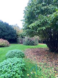 Foto 16 : Huis te 9080 Lochristi (België) - Prijs € 1.000