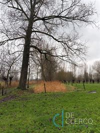 Foto 13 : Huis te 9080 Lochristi (België) - Prijs &euro; 1.200