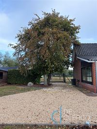 Foto 24 : Huis te 9070 Destelbergen (België) - Prijs &euro; 1.200