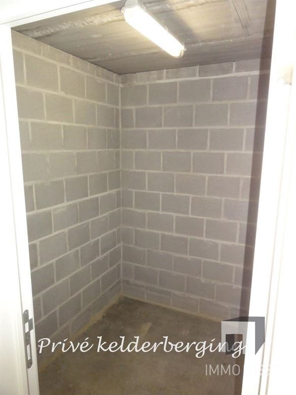 9224 afbeelding 19