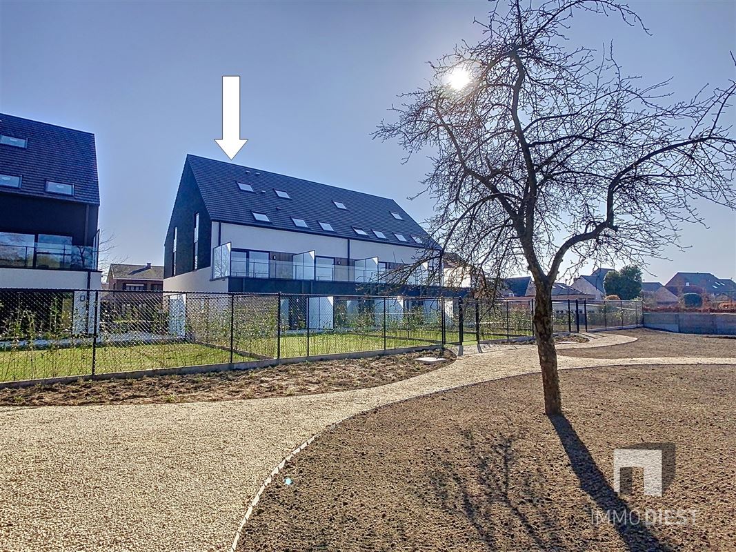 eigendom verkocht in Tessenderlo-ham