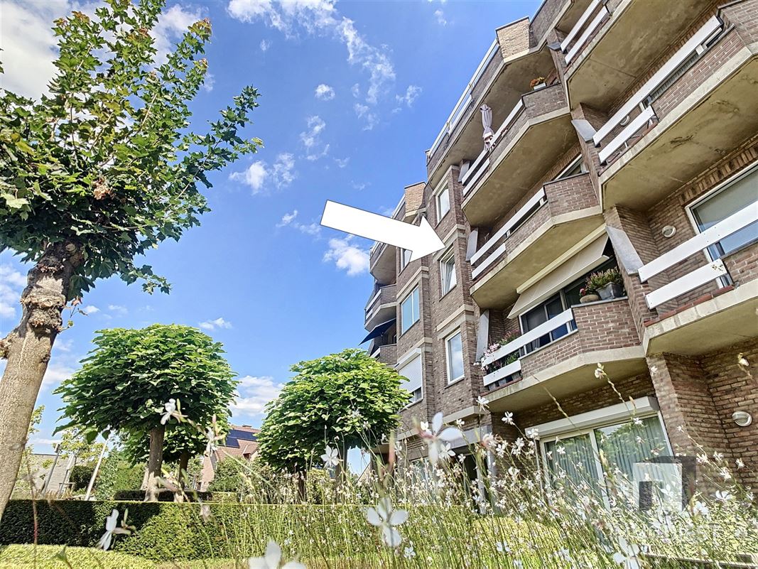 eigendom verkocht in Tessenderlo-ham