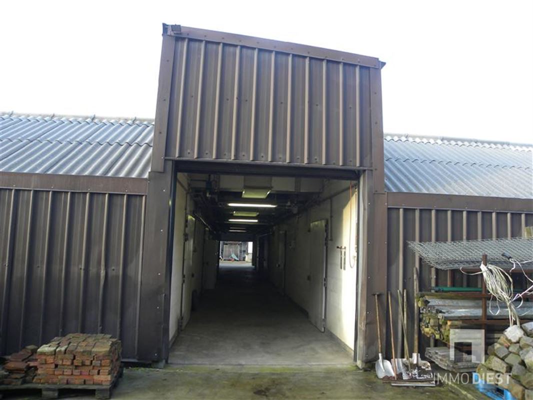 8269 afbeelding 2