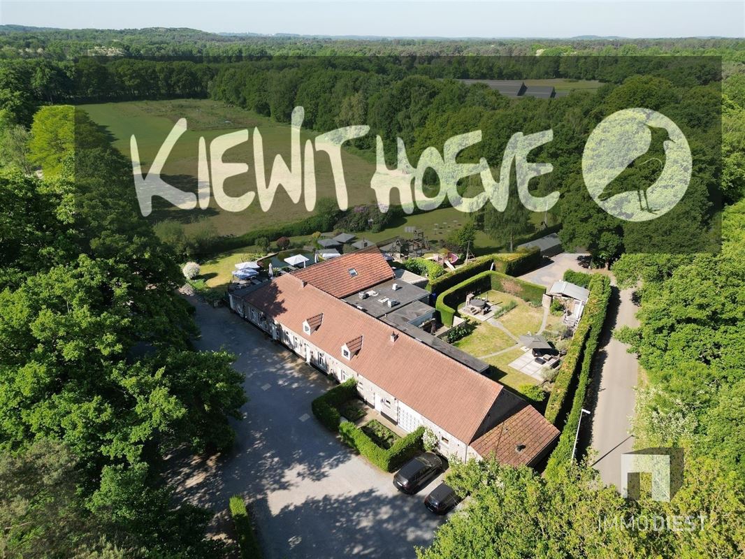 8689 afbeelding 33