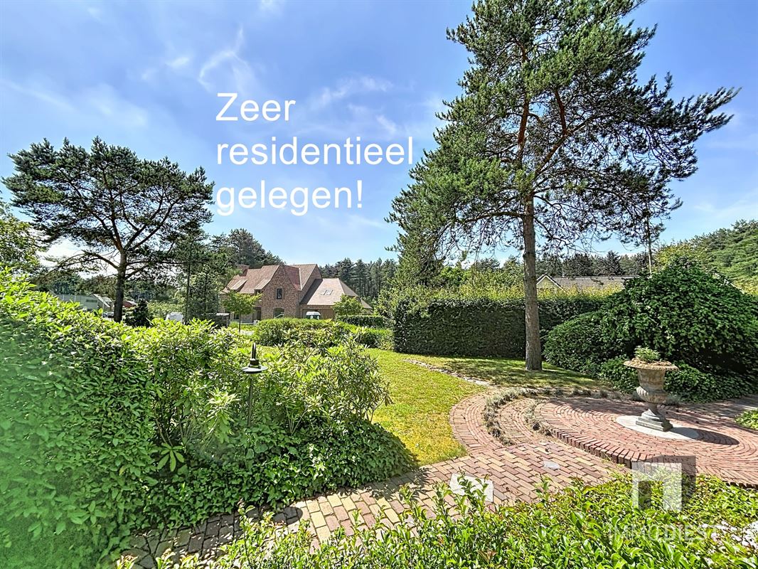 8242 afbeelding 4