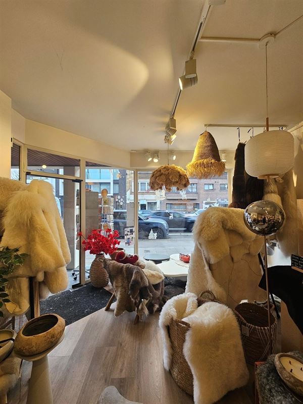 Foto 4 : Handelspand te 2930 BRASSCHAAT (België) - Prijs € 990