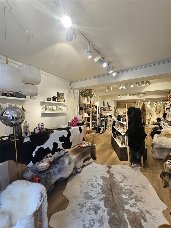 Foto 3 : Handelspand te 2930 BRASSCHAAT (België) - Prijs € 990