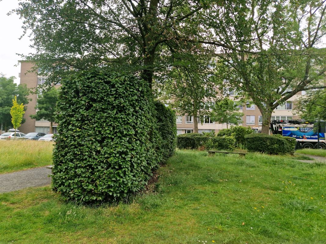 Foto 11 : Appartement te 2650 EDEGEM (België) - Prijs &euro; 295.000