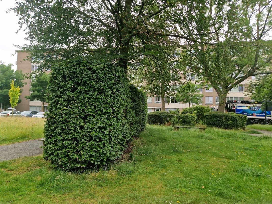 Foto 12 : Appartement te 2650 EDEGEM (België) - Prijs &euro; 289.000