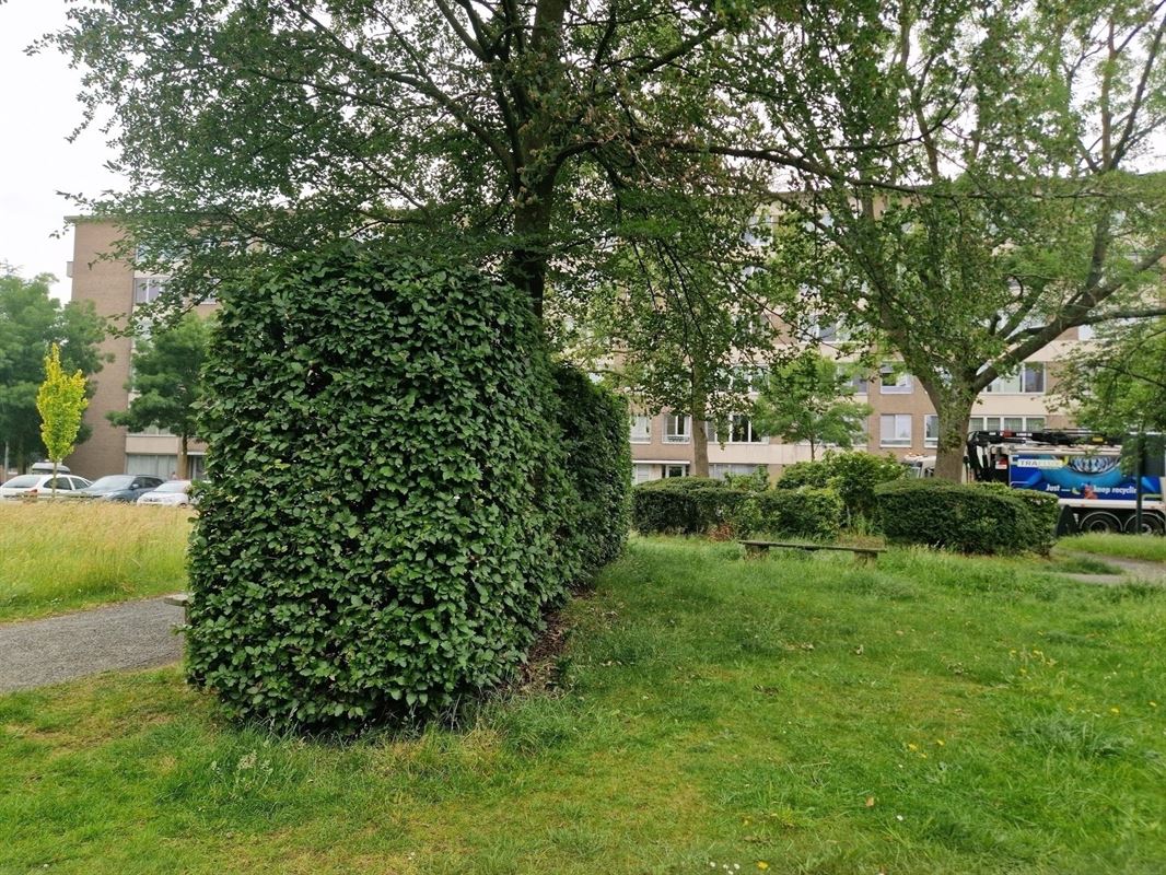 Foto 13 : Appartement te 2650 EDEGEM (België) - Prijs &euro; 275.000