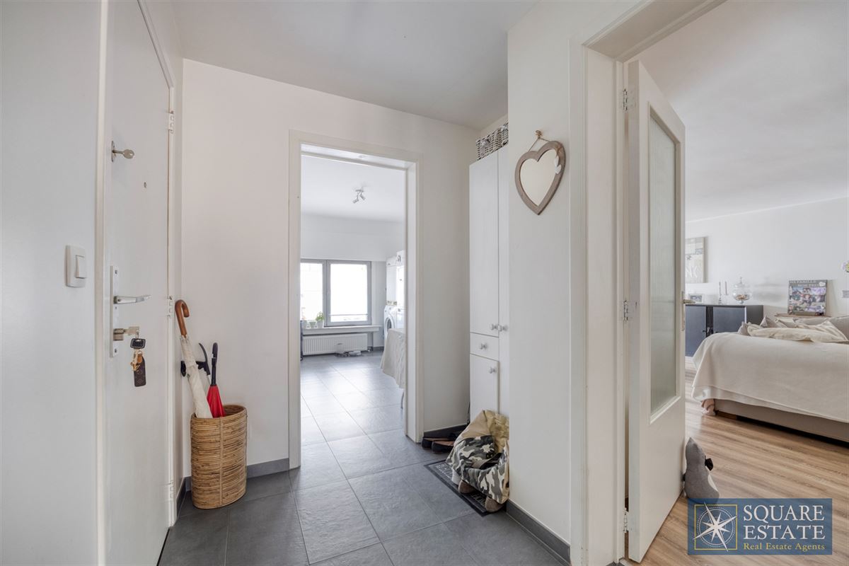 Foto 2 : Gelijkvloers te 1780 WEMMEL (België) - Prijs € 350.000