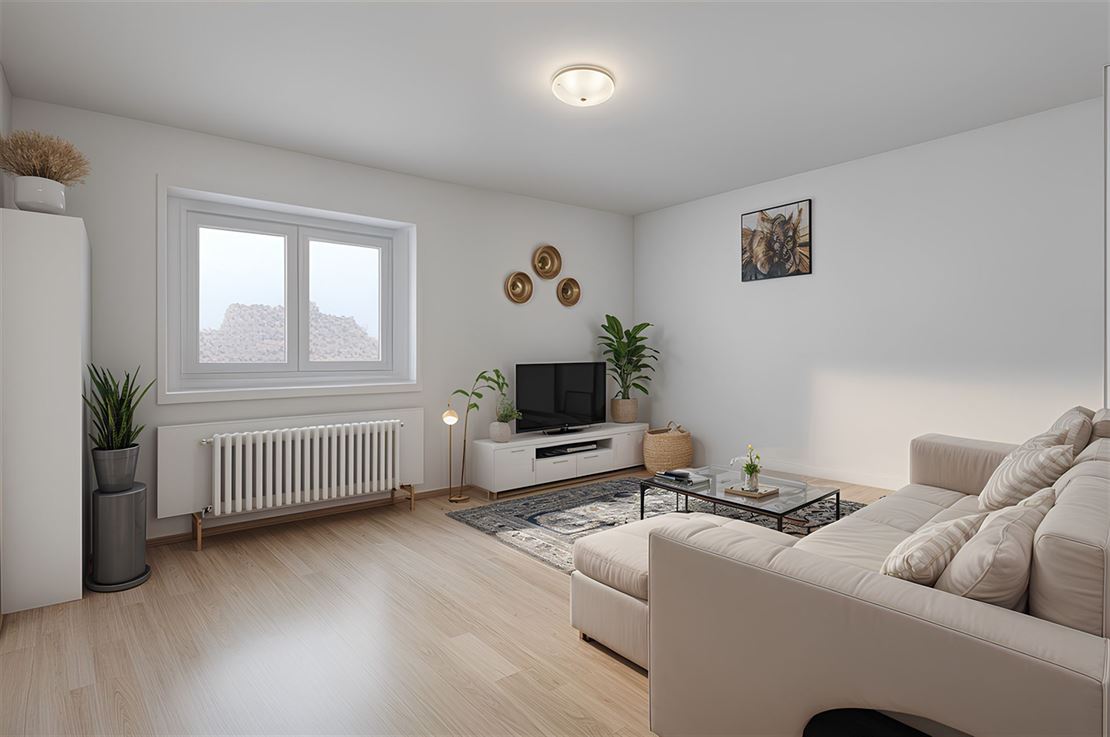 Appartement une Chambre en Centre-Ville 