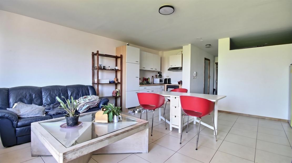 Appartement une chambre en Centre Ville