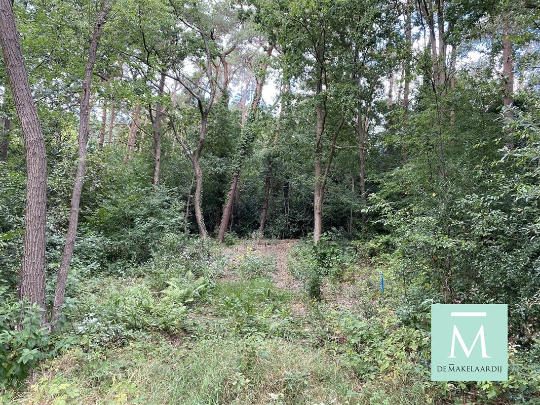 Foto 6 : Bouwgrond te 3140 KEERBERGEN (België) - Prijs € 205.000