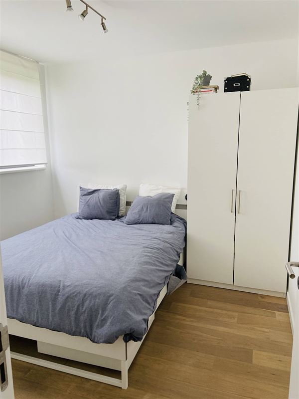 Foto 10 : Appartement te 2600 BERCHEM (België) - Prijs € 950