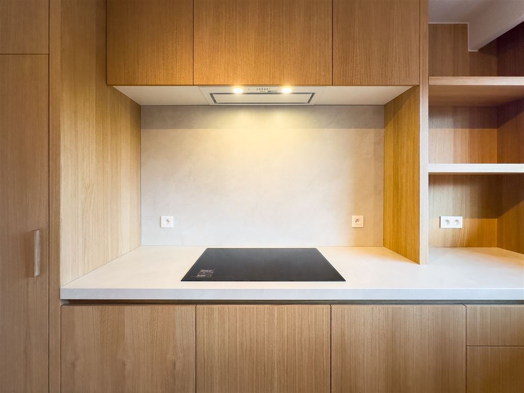 Foto 7 : gelijkvloerse verd. + tuin te 2600 BERCHEM (België) - Prijs € 499.000 Foto 7 : gelijkvloerse verd. + tuin te 2600 BERCHEM (België) - Prijs € 499.000