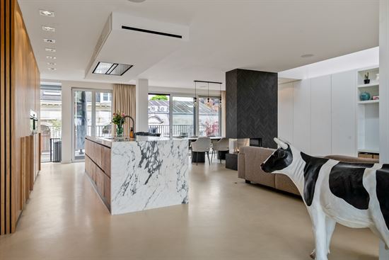 Exclusief duplex penthouse met zwembad en uitzonderlijke terrassen naast Vinkenhofpark