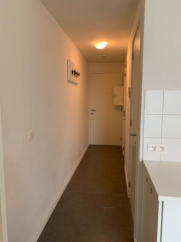 Studio (enkel studenten)