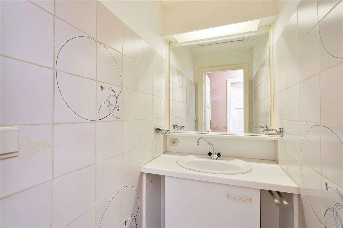 Zeer ruime woning met aangename tuin